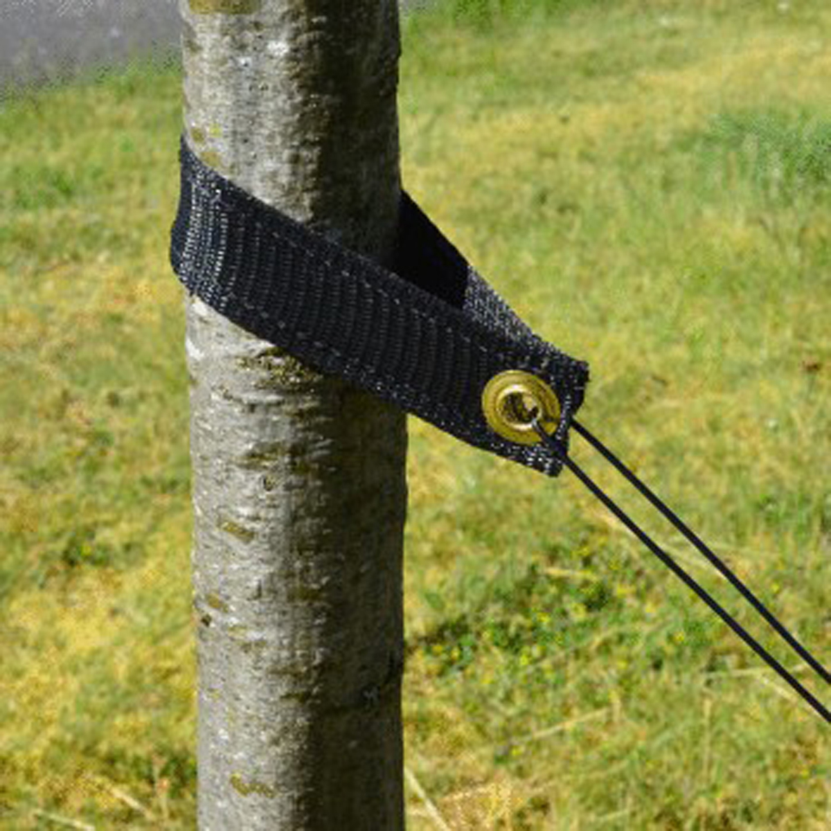 Picture of Tree Support Bulk Straps 20"