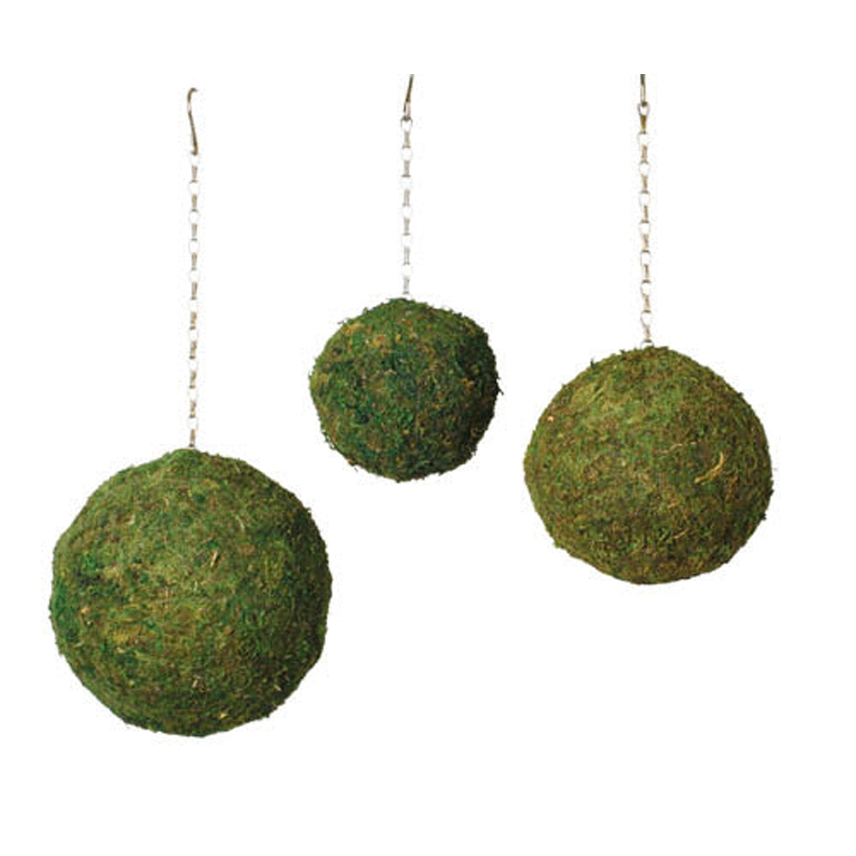 Picture of Moss Spheres - 8"