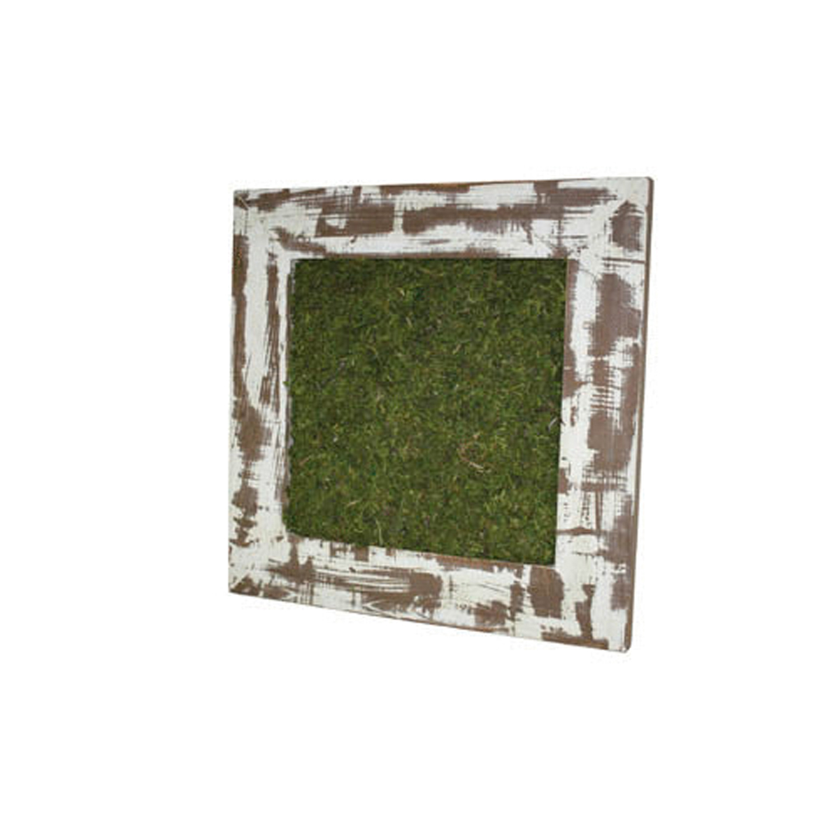 Picture of Succulent Moss Frame - 18" X 18" X 1"  (N/A)