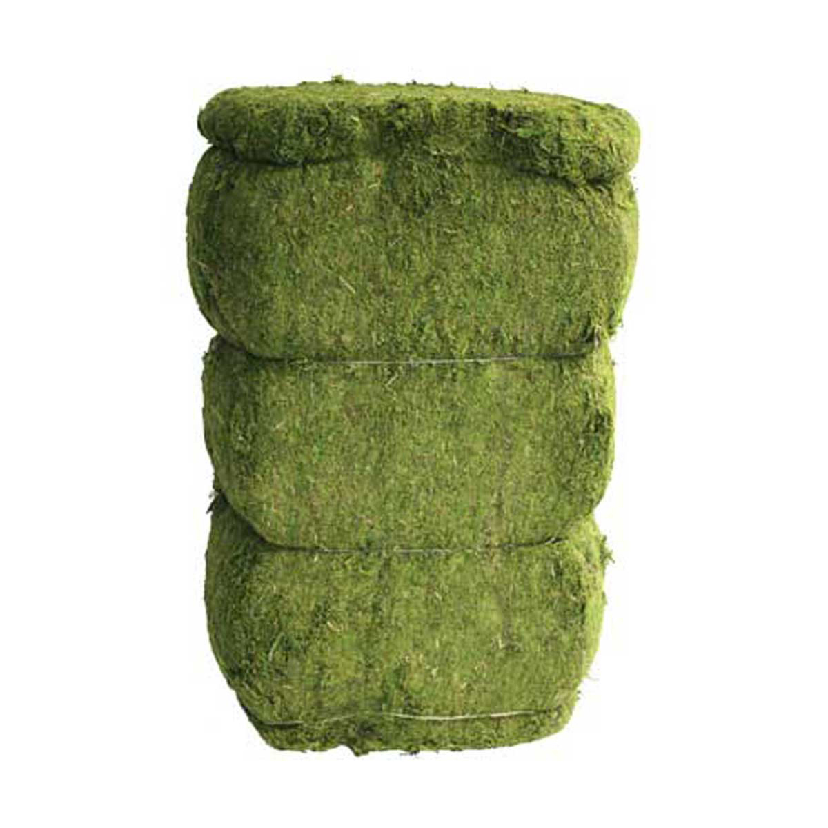Picture of Evergreen Moss Bale  5.5Cu.Ft.