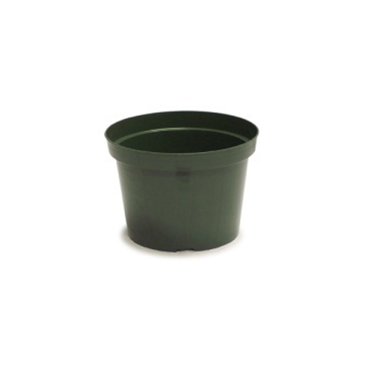 Picture of 6" Azalea Plastic Pot Regular