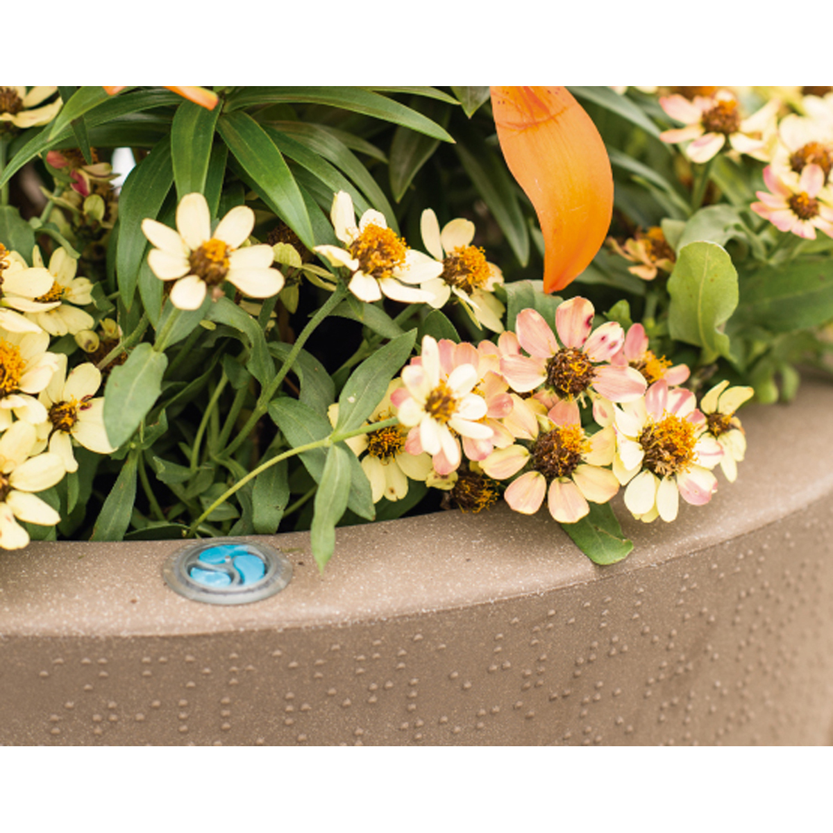 Image Thumbnail for Dot 26" Planter With Trudrop System (Slate)