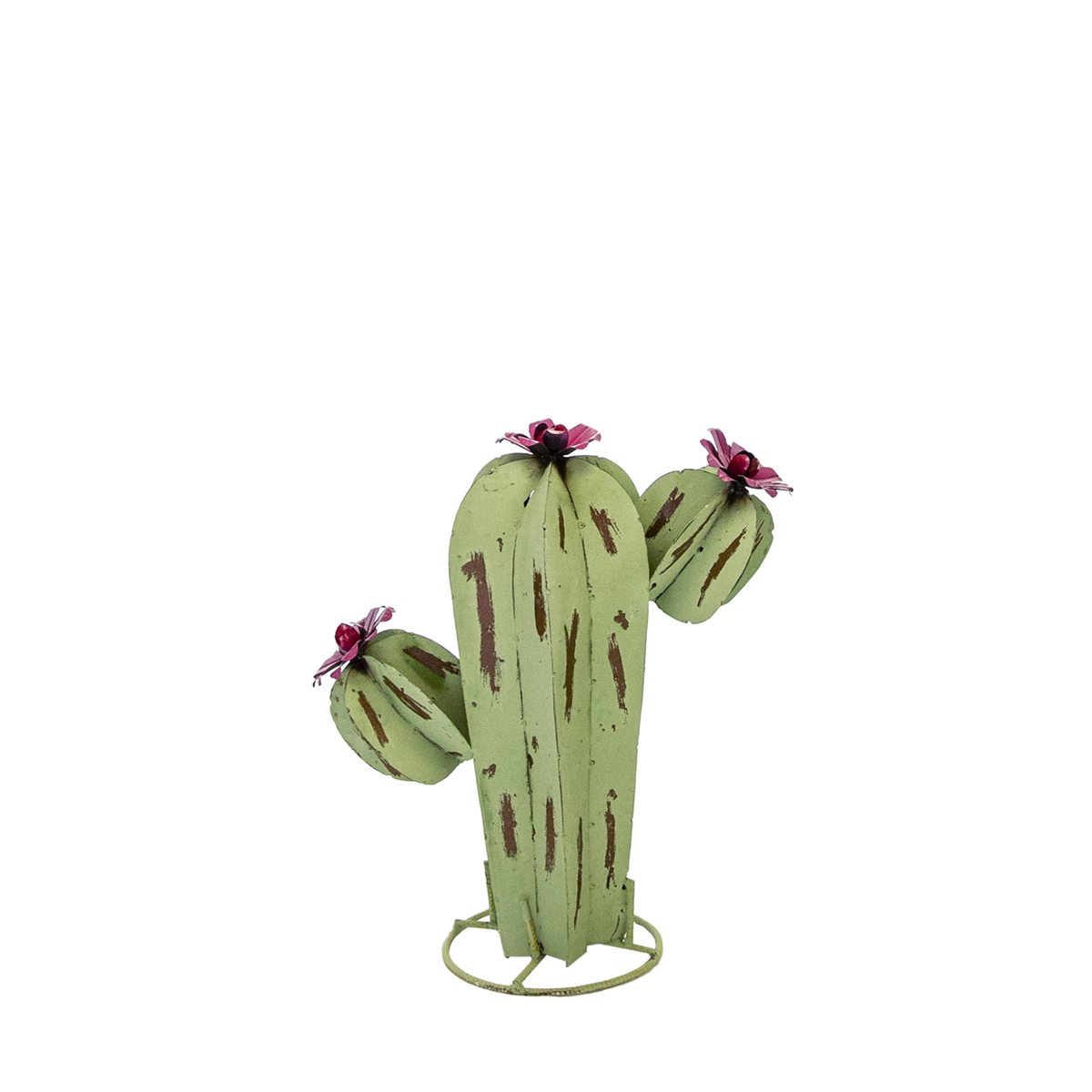 Picture of Cactus W/ Flower - Small