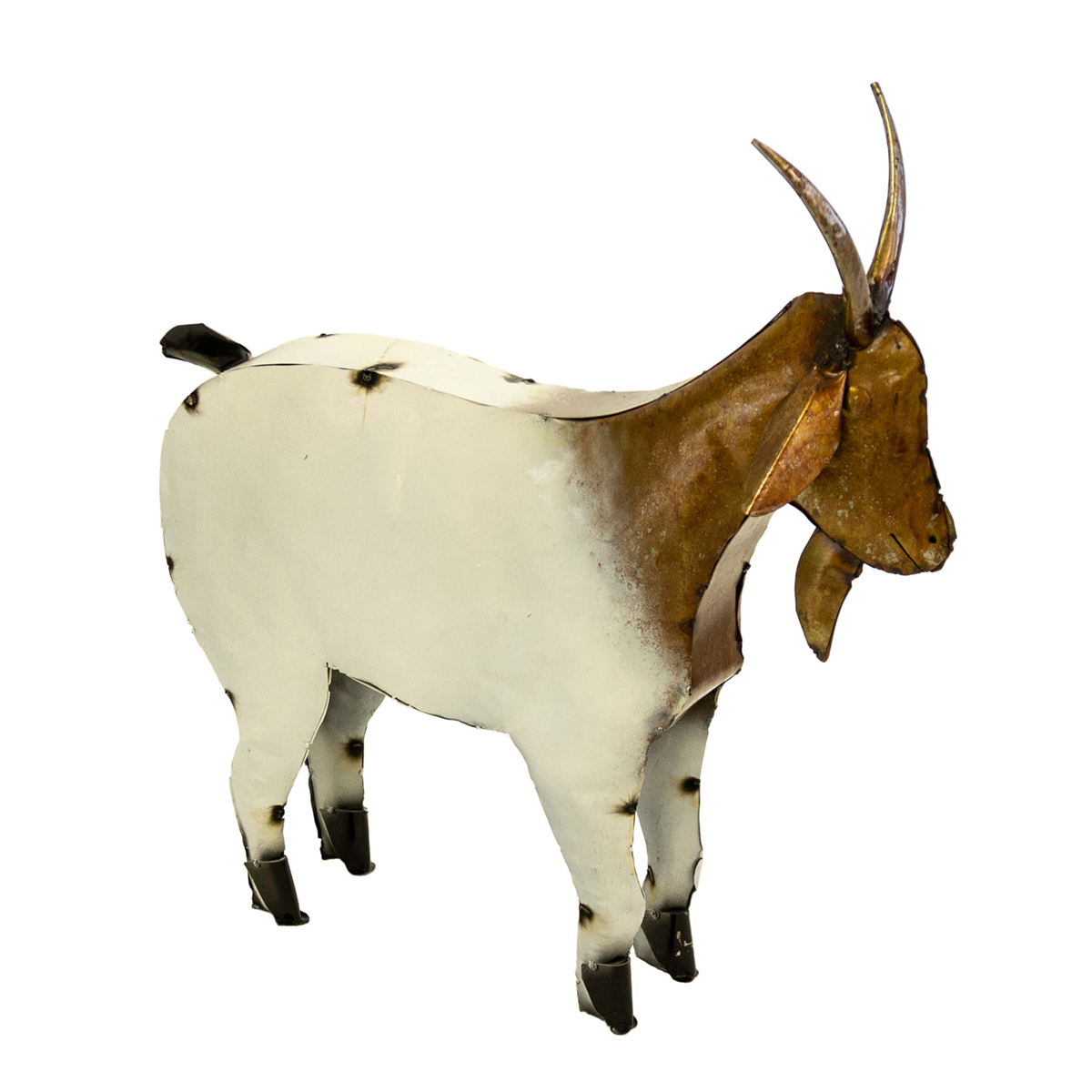 Picture of Two Tone Goat