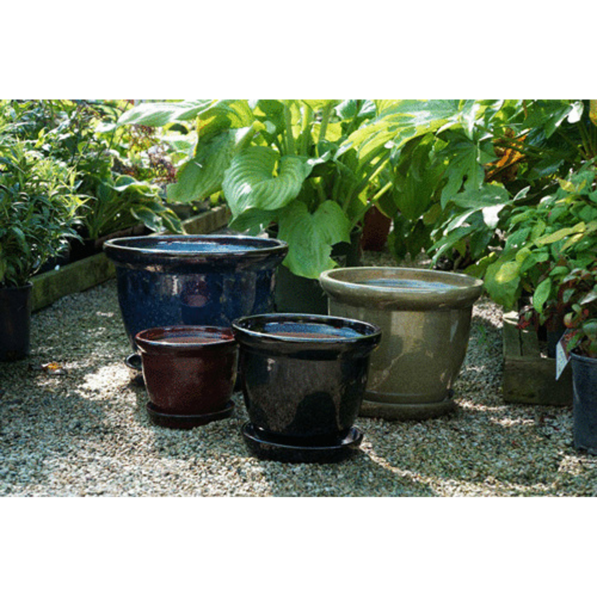 Image Thumbnail for Wind & Earth Black Ceramic Pot Set Att/Saucer-S/4