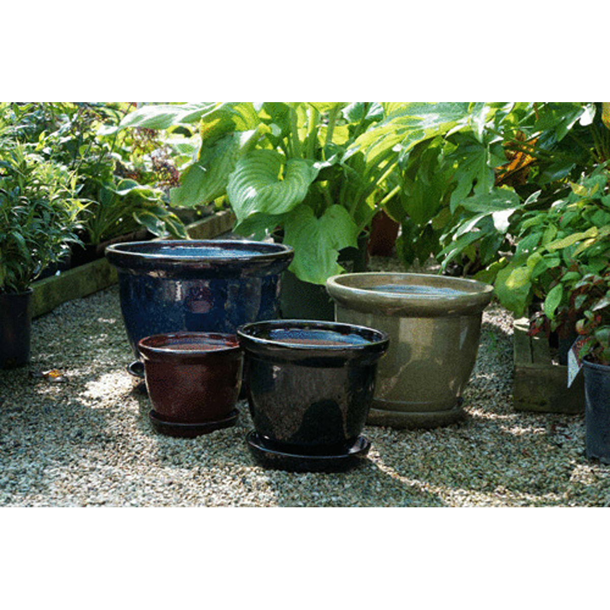 Image Thumbnail for Wind & Earth Metallic Blue Pot W/Saucer S/4