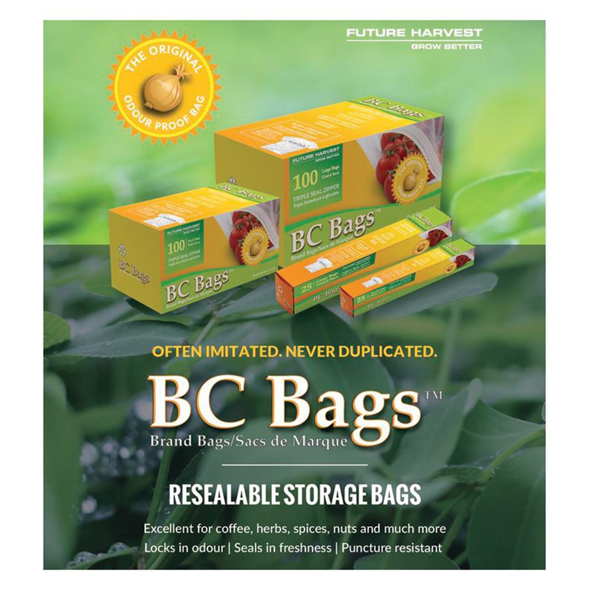 Picture of BC Bags Large (1000 EA = 1CS)*CASE ONLY*