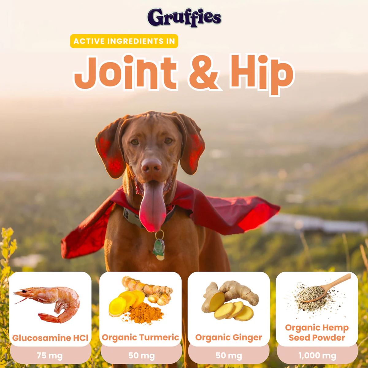 Image Thumbnail for Gruffies - Joint and Hip 6 oz bag (12/CS)