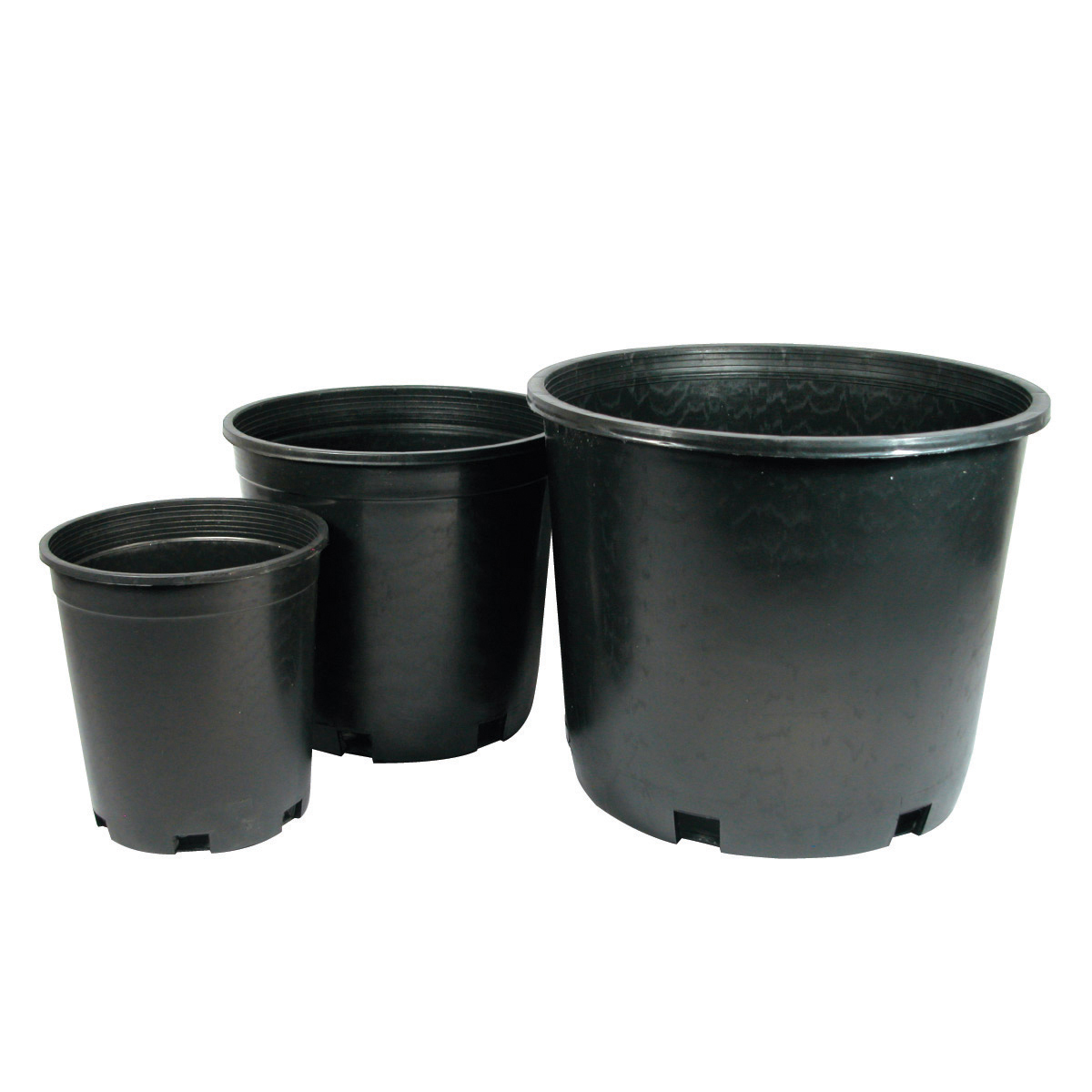 Picture of Nursery Pot Black 10 gal