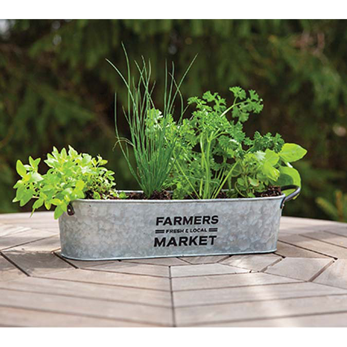 Image Thumbnail for Small Farmer'S Market Oval Planter Aged Galvanized