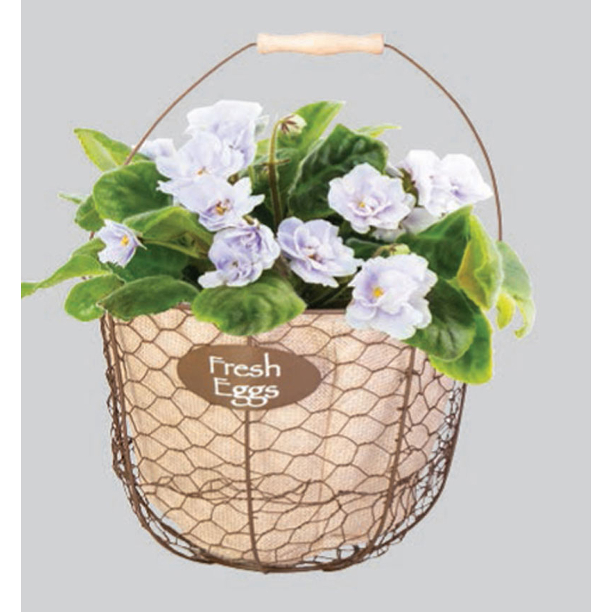 Image Thumbnail for Egg Gathering Basket/Planter w/ Burlap Liner Rust