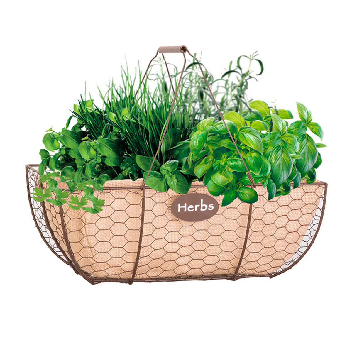 Image Thumbnail for Herb Basket with burlap liner 14" Rust