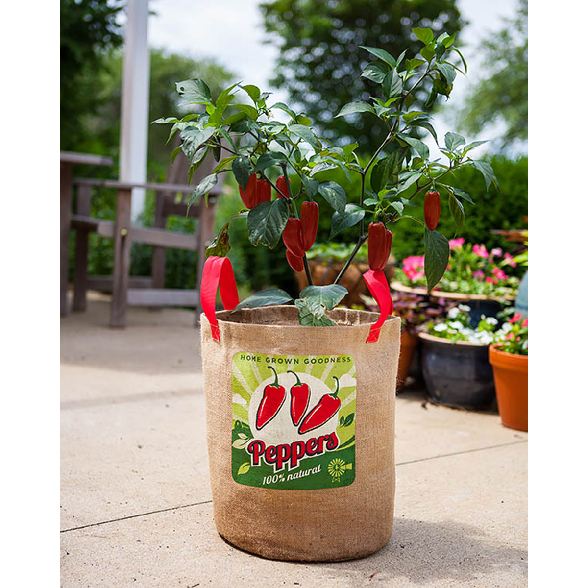 Image Thumbnail for Peppers Grow Bag 10 Gal