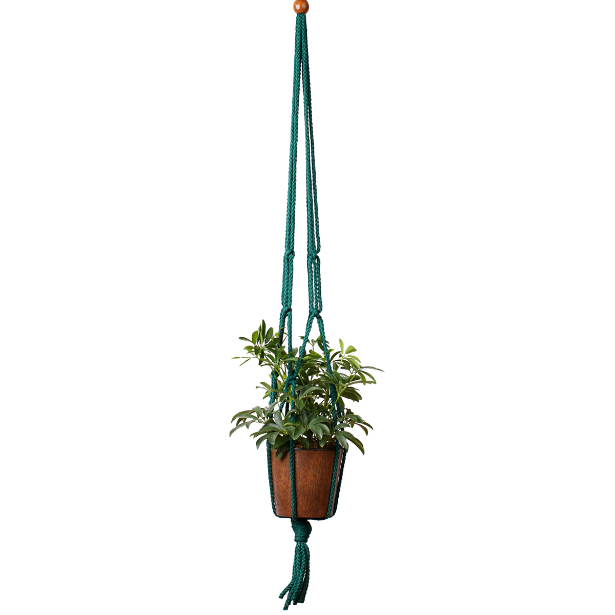 Picture of 36" Forest Green Macrame Plant Hangers