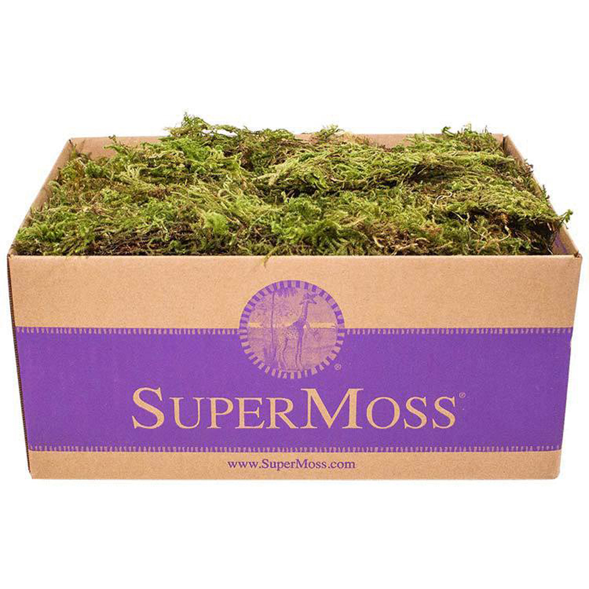 Picture of Forest Moss Dried Natural Green 3lb Box
