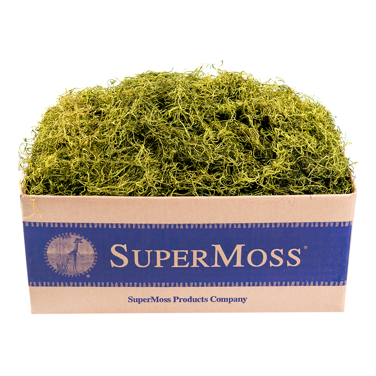 Picture of Spanish Moss Preserved Chartreuse 3lbs Box