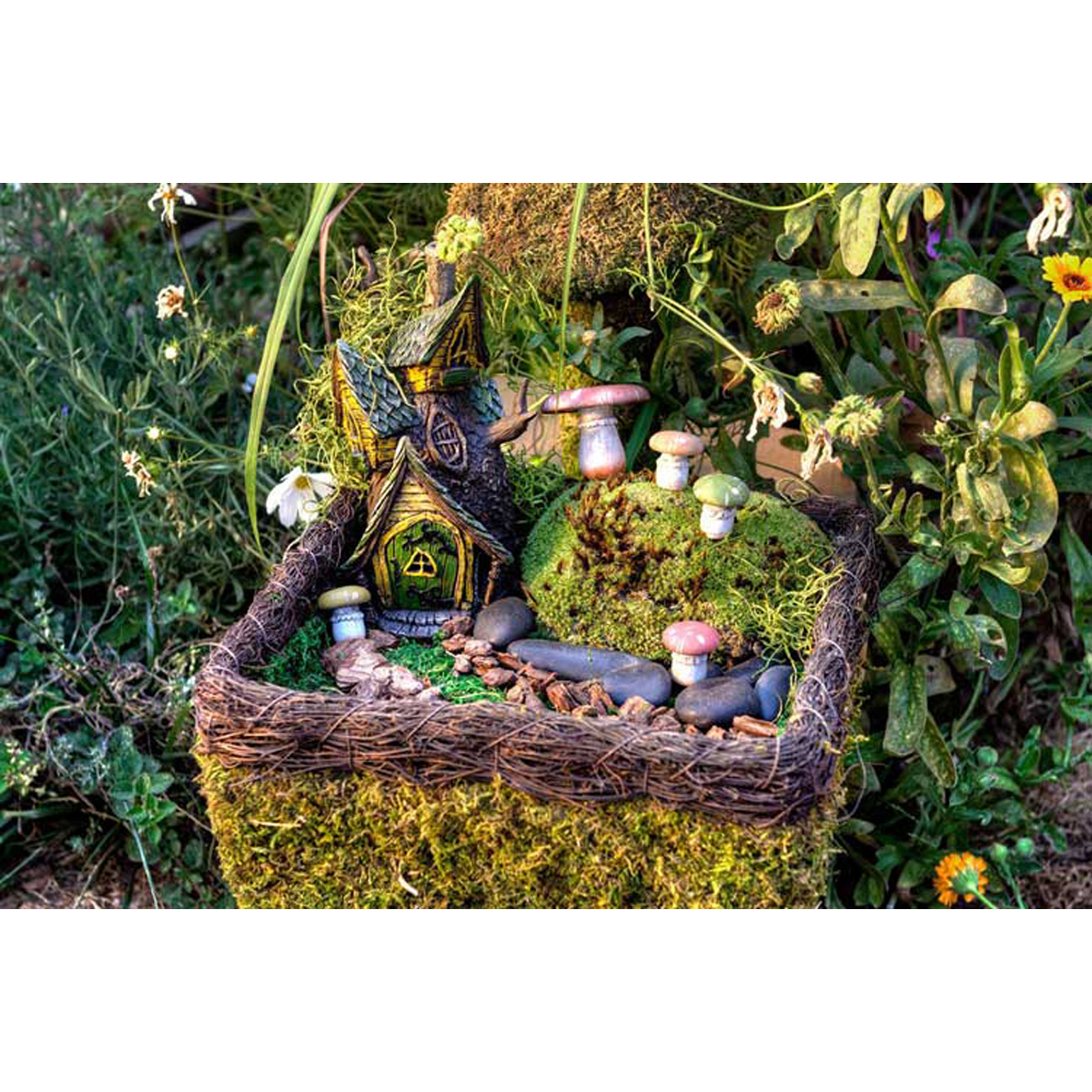 Image Thumbnail for Fairy Garden Kit Mixed Mosses 4oz Display Box