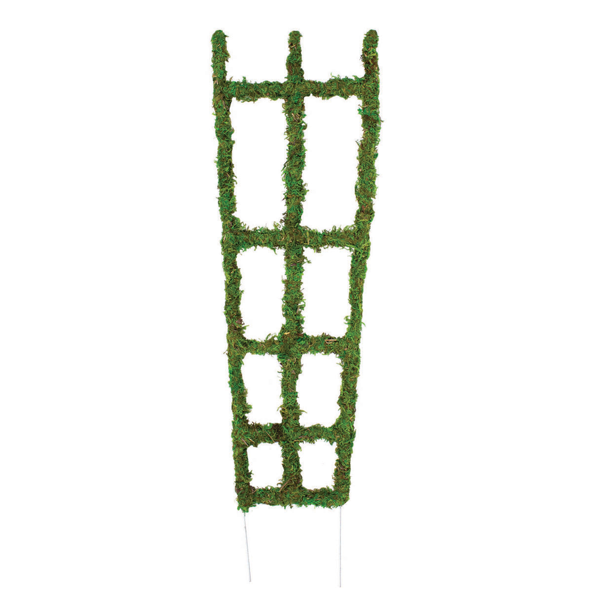 Picture of 18" Moss Trellis