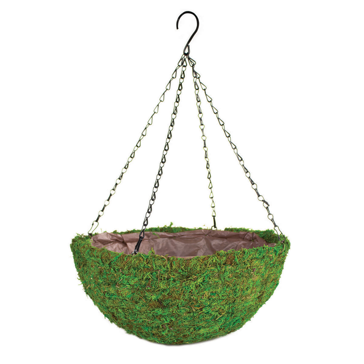 Picture of 14"Hanging Basket w/liner