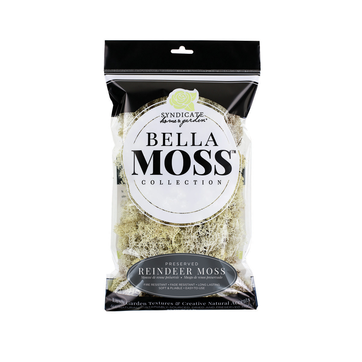 Picture of Reindeer Moss 80 cu in bag Natural