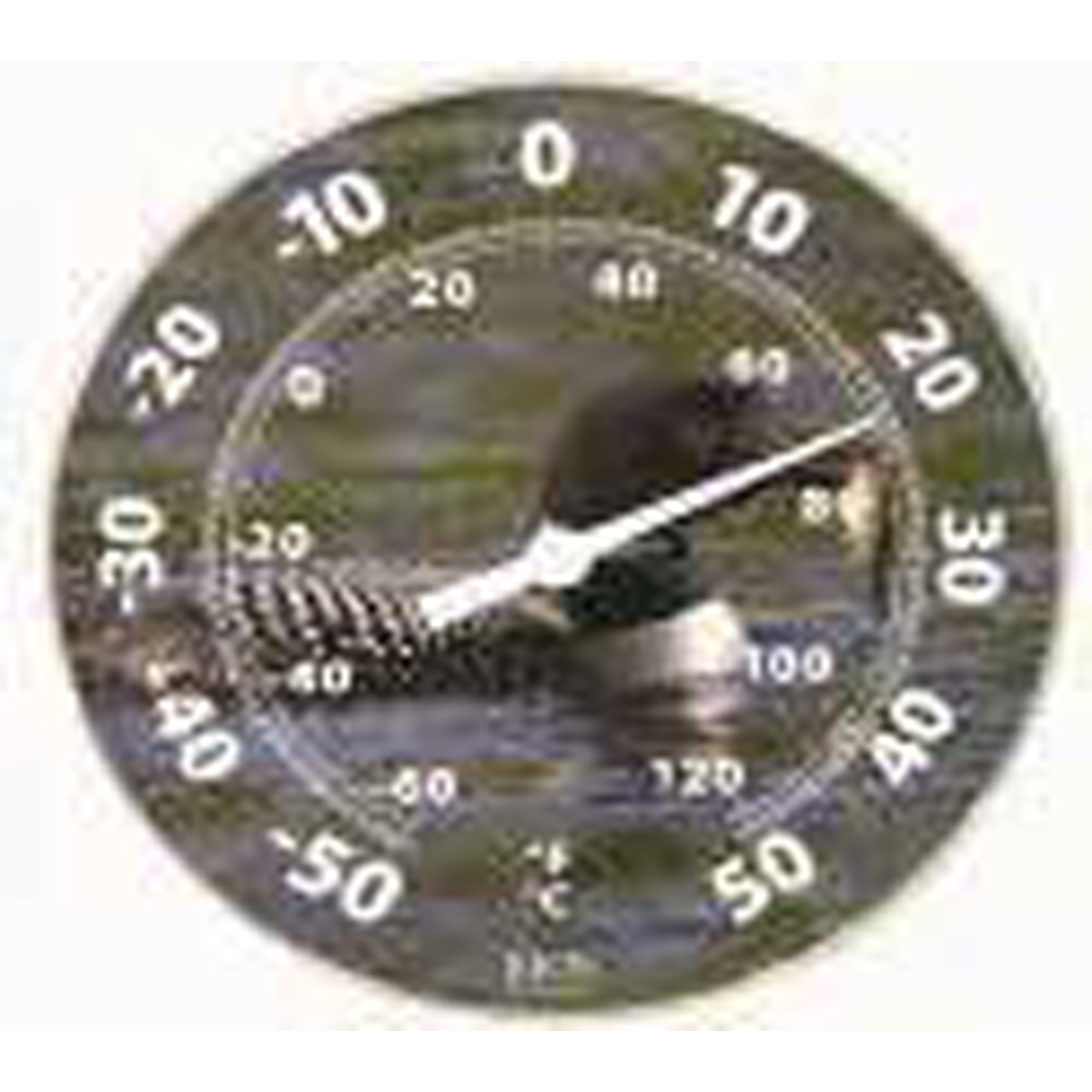 Picture of 12" Dial Thermometer - Loon