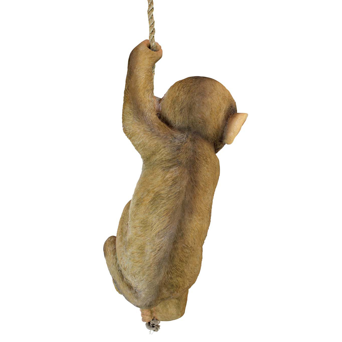 Image Thumbnail for Dt Chico The Chimpanzee Hanging Monkey