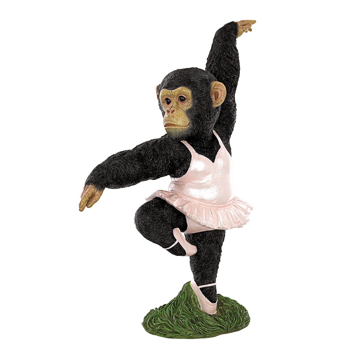 Picture of Monkey Ballet Dancer