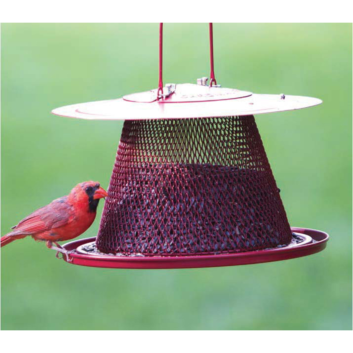 Image Thumbnail for Red Cardinal Seed Feeder 2.5 Lb