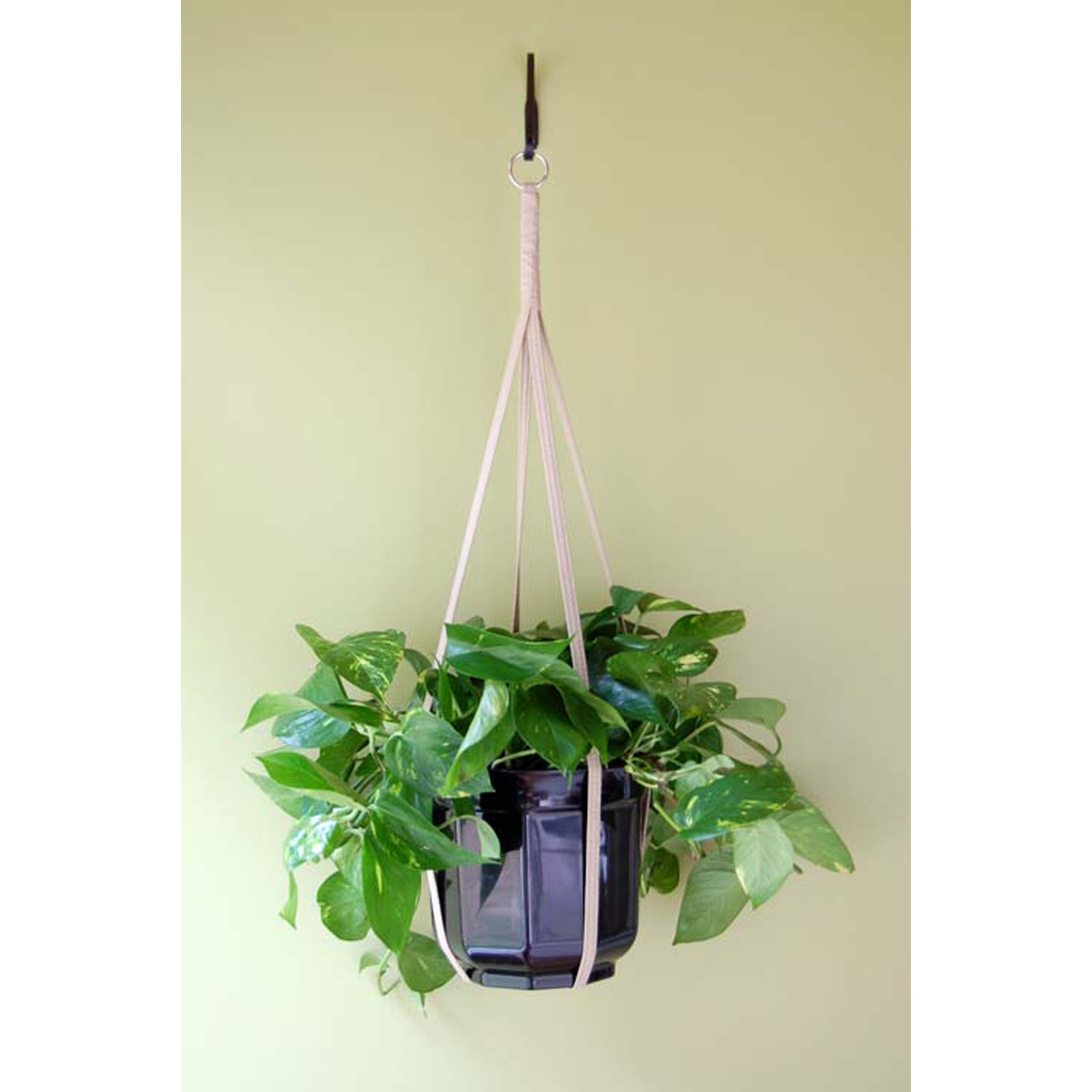 Image Thumbnail for 36" Assorted Solid Fabric Plant Hangers