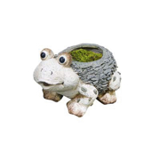 Picture of 11" Frog Planter
