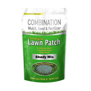 Picture of Original Lawn Patch Shady