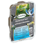 Picture of Morning Melodies Peanut Feast Suet 300g