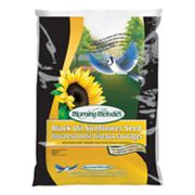Picture of Morning Melodies Black Oil Sunflower 11.36 kg