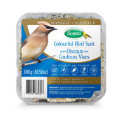 Picture of Scotts Colourful Bird Ultimate Energy Suet 300 g