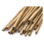Picture of Natural Bamboo Cane 4'x 6-8mm Bulk 1000pcs