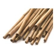 Picture of Natural HD Bamboo Cane 8'x 24-26mm Bulk
