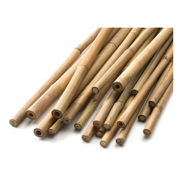 Picture of Natural Bamboo Cane 3'x 8-10mm (25/Pk)