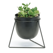 Picture of Bullet Planter In Triangle 5.5D 7"