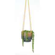 Picture of Hanging Pot Earth Blue 6D 5.25"