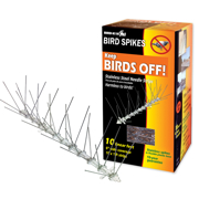 Picture of Bird Spikes Stainless Steel 10'