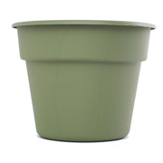 Picture of 8" Dura Cotta Planter Living Green