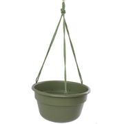 Picture of 12" Dura Cotta Hanging Basket Living Green