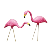 Picture of Pink Flamingo 2 Pack