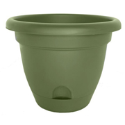Picture of 10" Lucca Planter Living Green