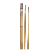 Picture of 1"X6' Bamboo Poles