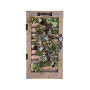 Picture of Succulent Window Shutter - 16" X 28"