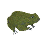 Picture of Frog - 6" (Mossed) Topiary - 6" X 13" X 10"
