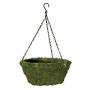 Picture of Evergreen Moss Hanging Basket w Hanger  14"
