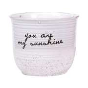Picture of Patricia 6.5" Flower Pot