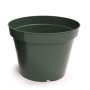 Picture of 10" Azalea Elite Plastic Pot Green